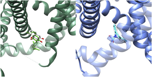 PMC12491271 – F5