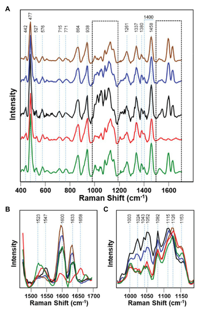 PMC7854695 – fig5