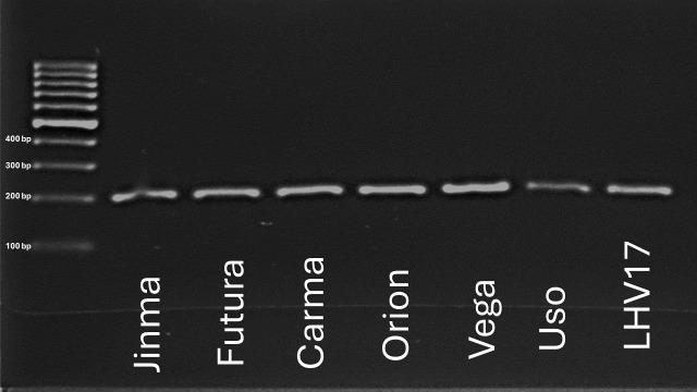 PMC12580366 – f5