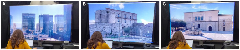 PMC10763249 – fig2