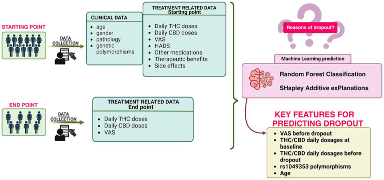 PMC11882547 – fig1