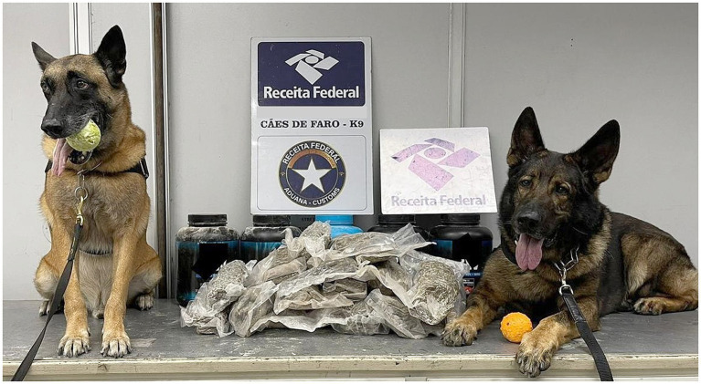 PMC11137163 – fig4