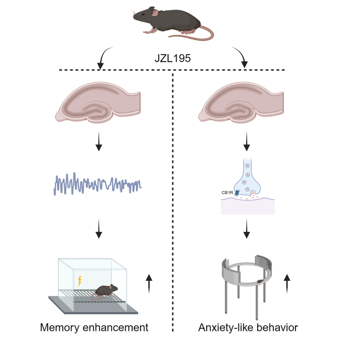 PMC10839683 – undfig1