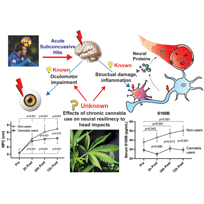 PMC10275955 – undfig1