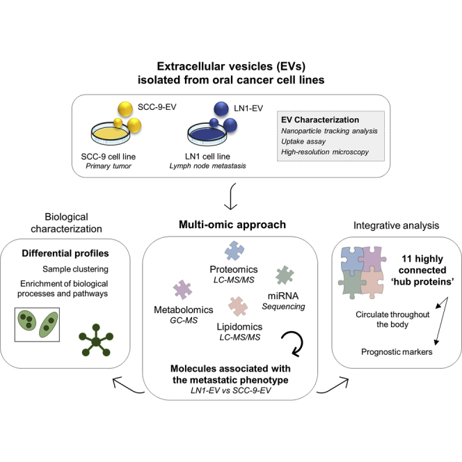PMC8350068 – undfig1