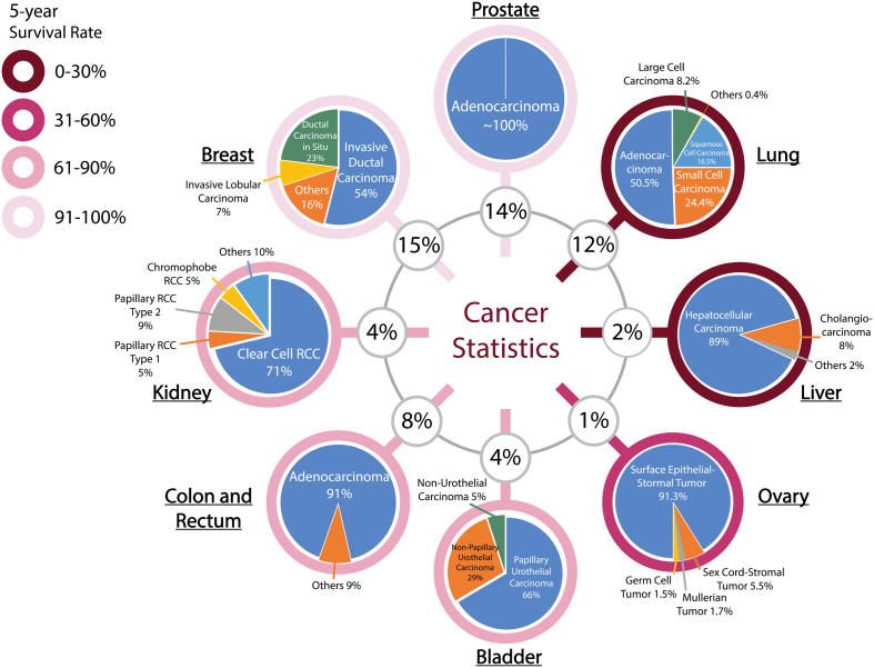 PMC10900832 – f0060