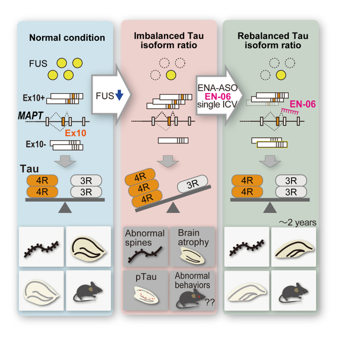 PMC11979468 – undfig1