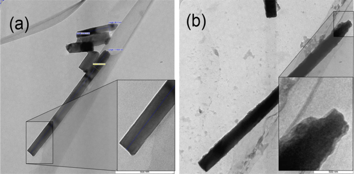 PMC5362154 – f0030