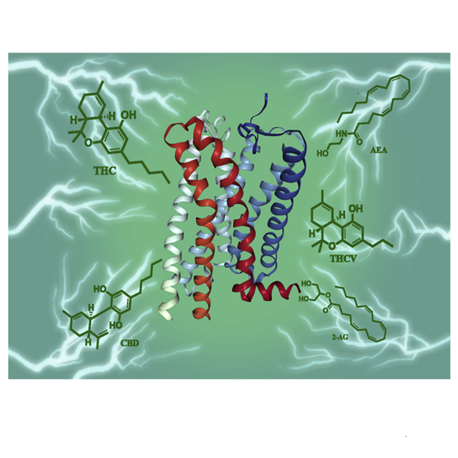 PMC7339067 – undfig1