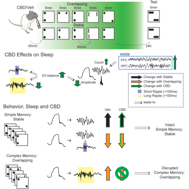 PMC10656268 – undfig1
