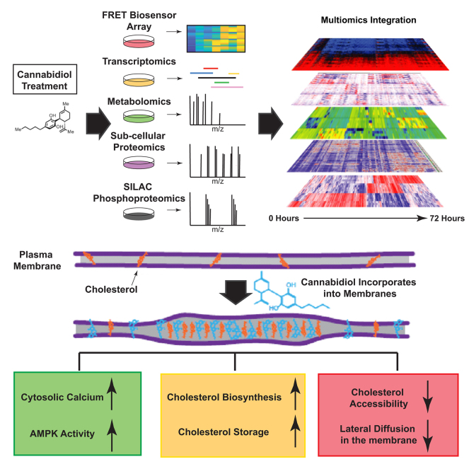 PMC9525918 – undfig1