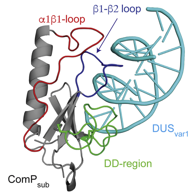 PMC4906244 – undfig1