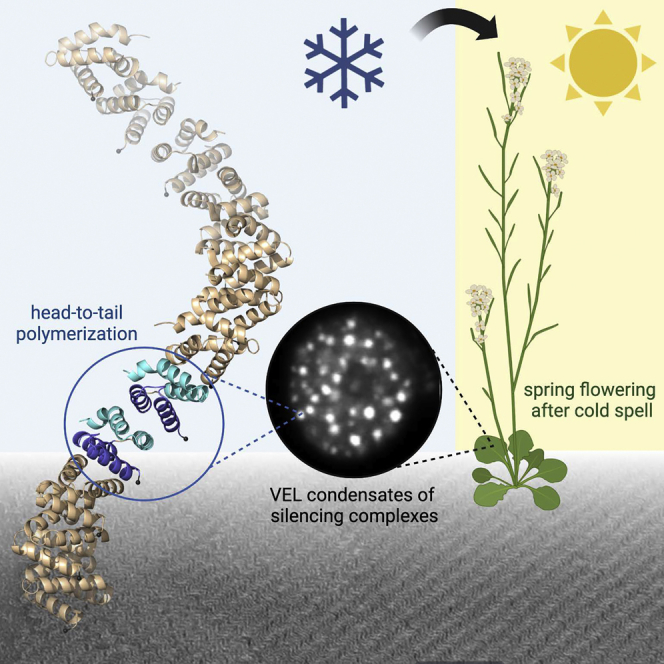 PMC7614096 – undfig1