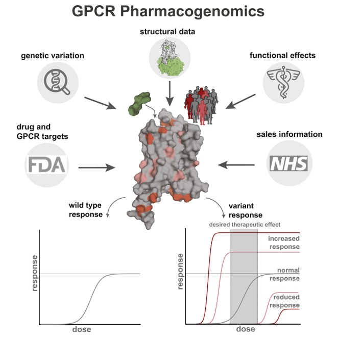 PMC5766829 – undfig1