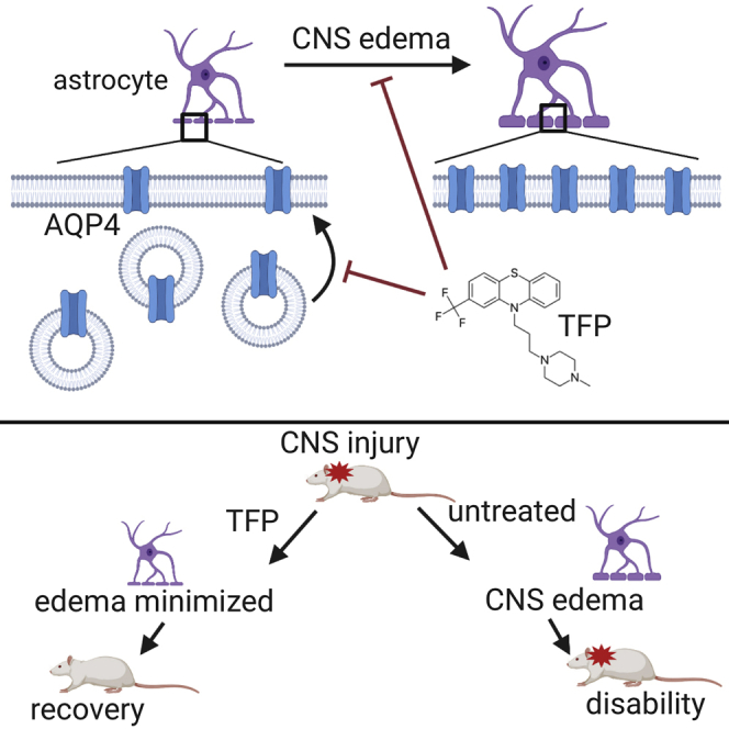 PMC7242911 – undfig1