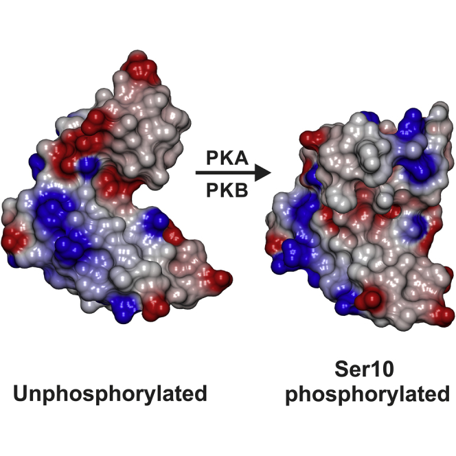 PMC4975591 – undfig1