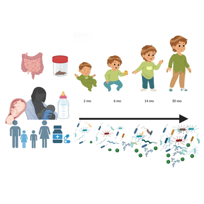 PMC12636393 – undfig1