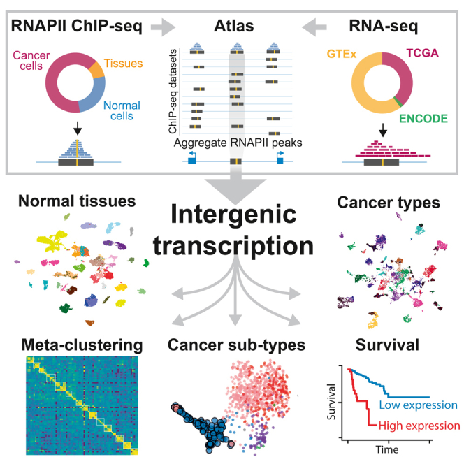 PMC10589727 – undfig1