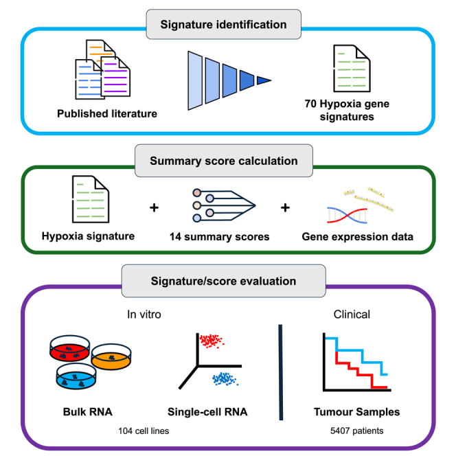 PMC11872601 – undfig1