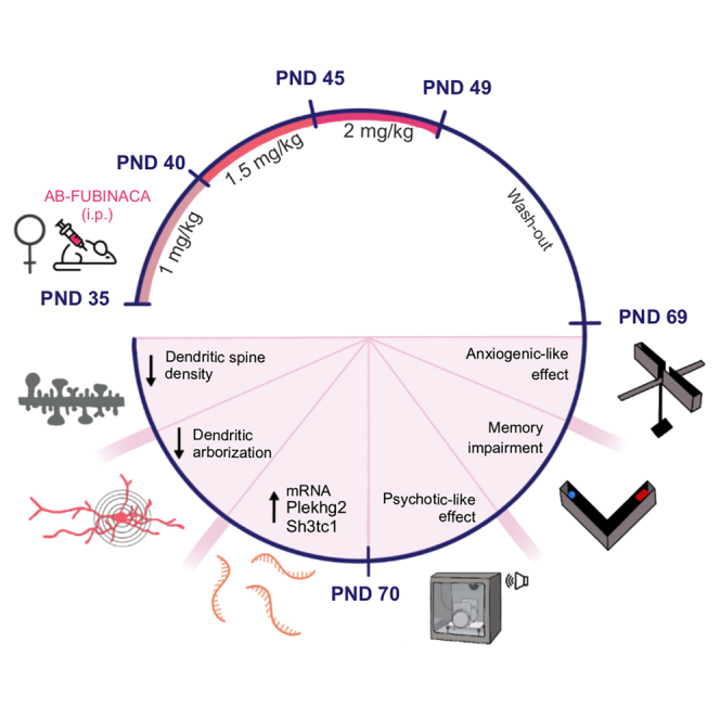 PMC11847088 – undfig1