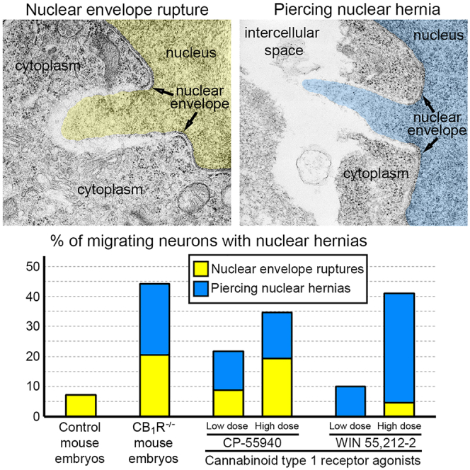 PMC12341634 – undfig1