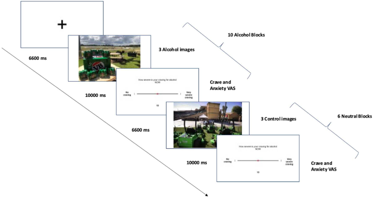 PMC11382041 – dfig1