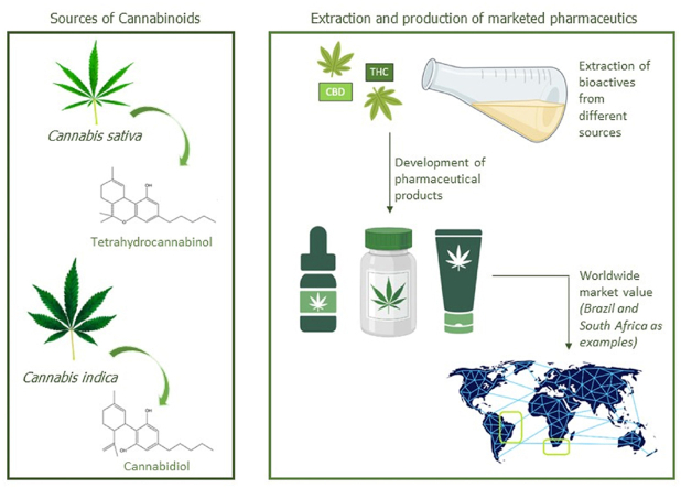 PMC10658372 – undfig1