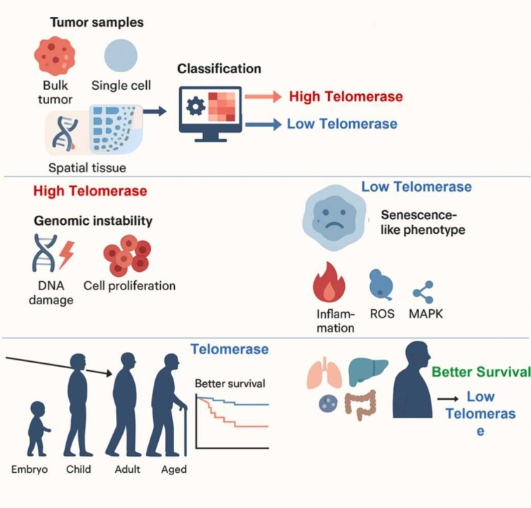PMC12663852 – fig0045