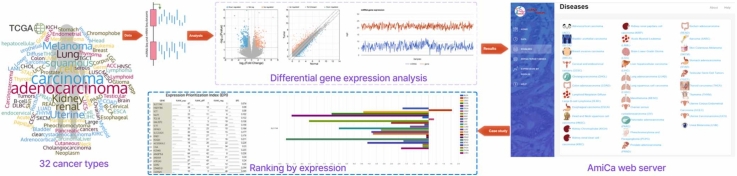 PMC11152612 – fig0050