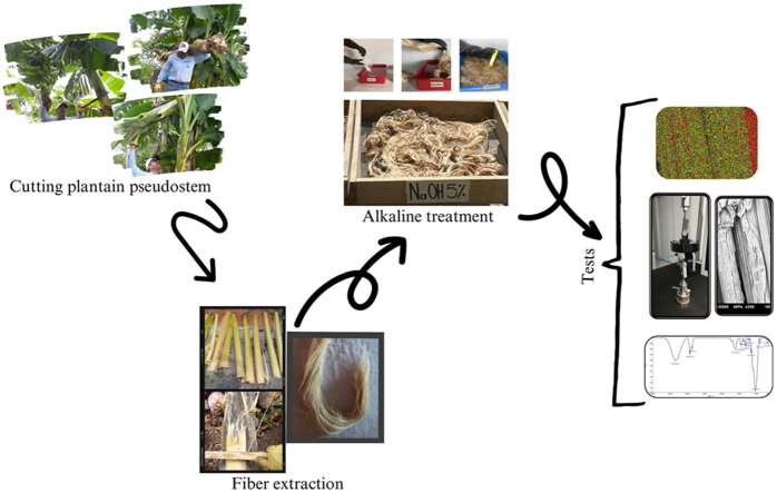PMC11783020 – undfig1