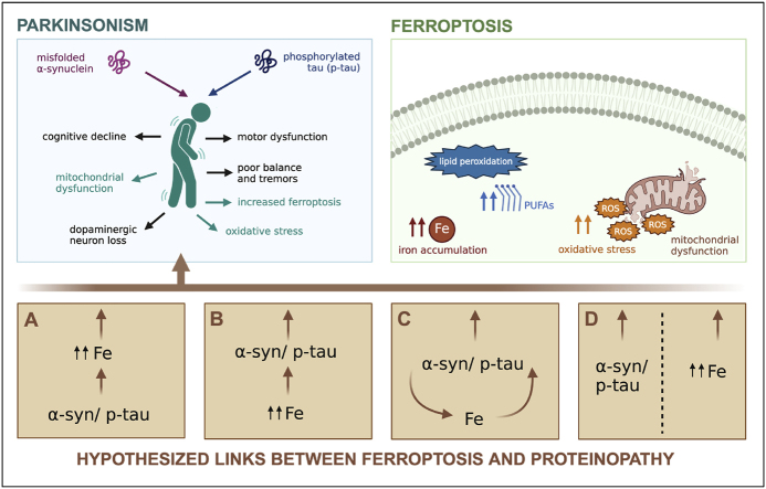 PMC11732237 – undfig1