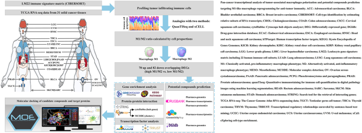 PMC12818233 – undfig1