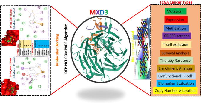 PMC8441106 – f0045