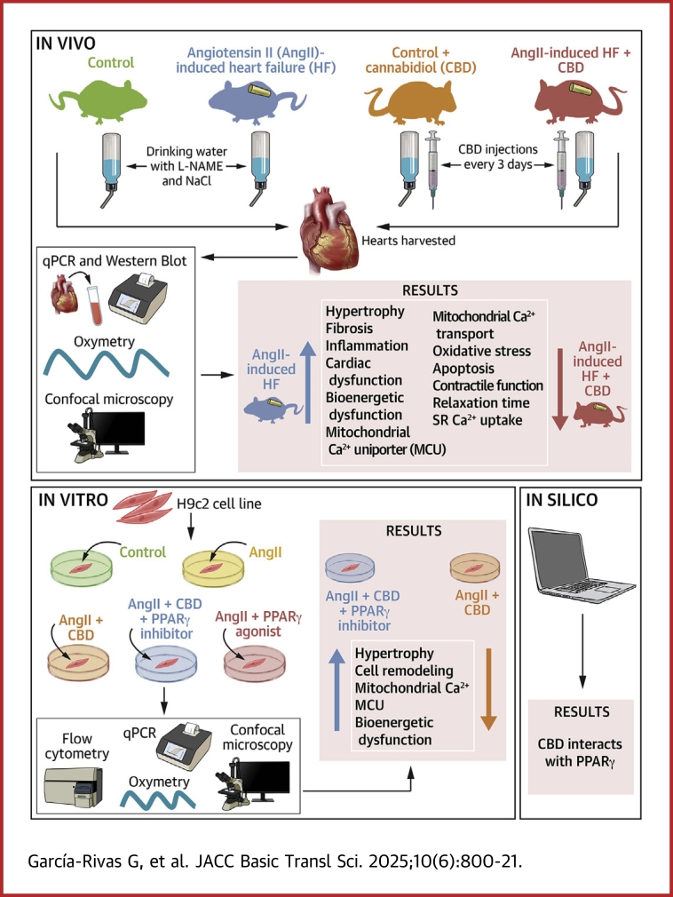 PMC12230462 – undfig1