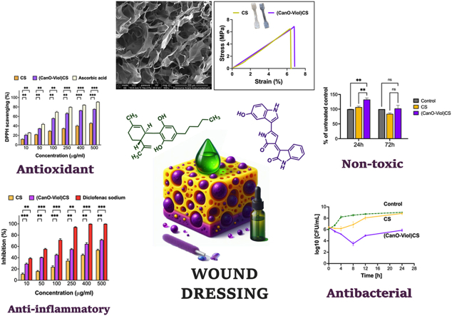PMC11334822 – undfig1