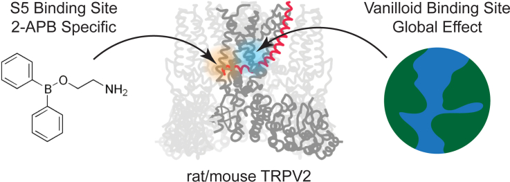 PMC12489355 – undfig1