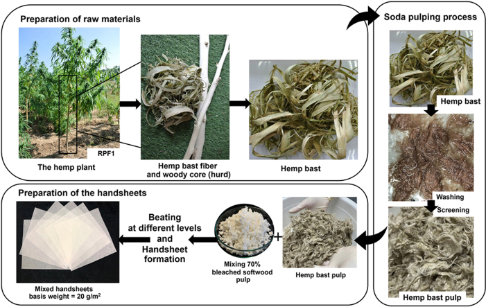 PMC10850592 – undfig1