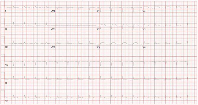 PMC12441497 – undfig1