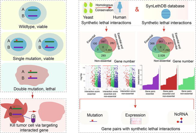 PMC7658657 – f0035