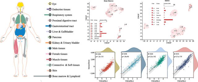 PMC9508481 – f0030