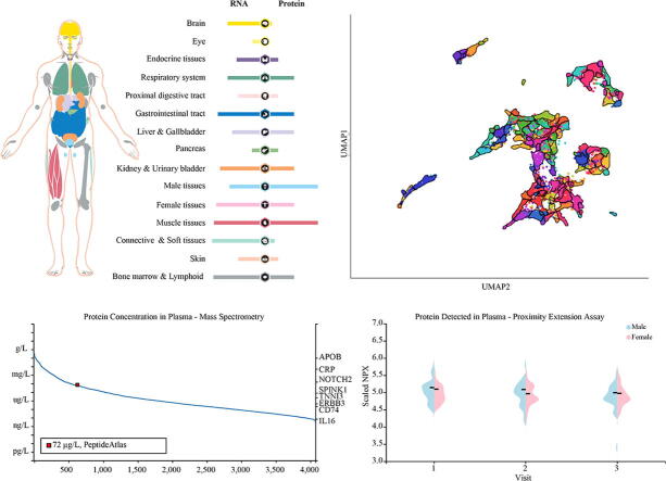 PMC9234055 – f0035