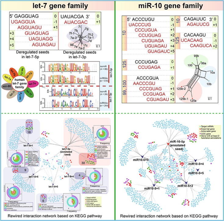 PMC7280754 – f0030