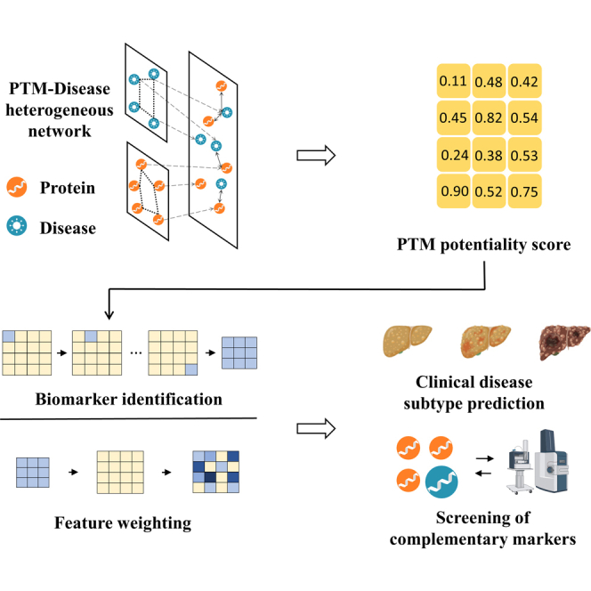 PMC12365514 – undfig1
