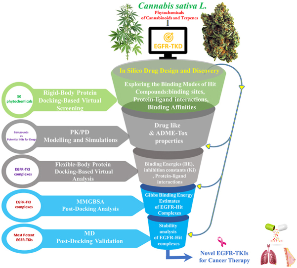 PMC10148140 – undfig1