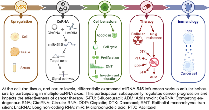 PMC11252520 – undfig1