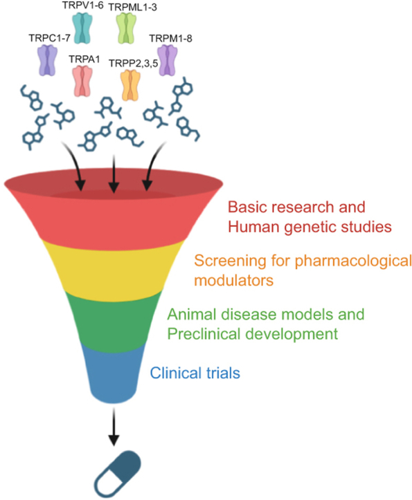 PMC12799467 – undfig1