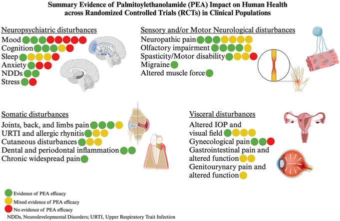 PMC11745966 – undfig1