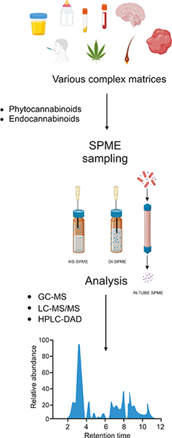 PMC10657972 – undfig1