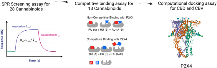 PMC10618793 – undfig1