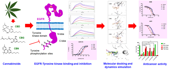 PMC9780064 – undfig1